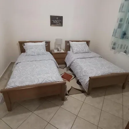 Trikki House 公寓 特里卡拉